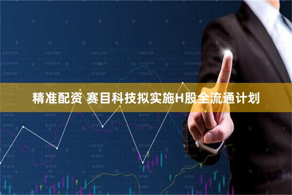 精准配资 赛目科技拟实施H股全流通计划