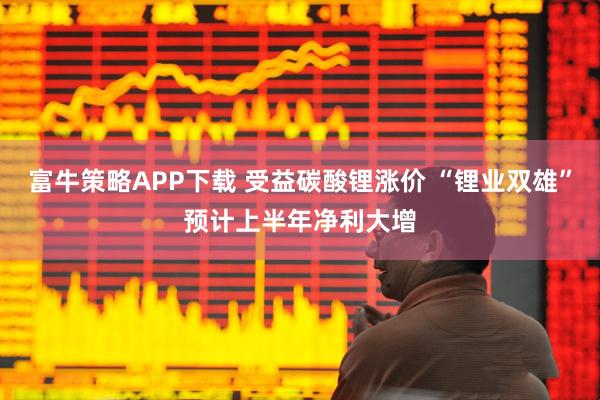 富牛策略APP下载 受益碳酸锂涨价 “锂业双雄”预计上半年净利大增